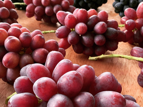 【長野県限定】クイーンルージュ®︎&シャインマスカットセット(各1房、合計1.2kg超)