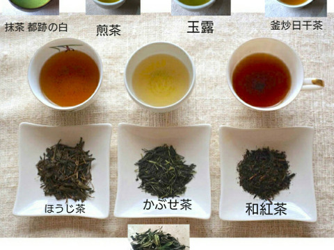贅沢！世界のお茶セット 日本産 農薬・肥料不使用加茂自然農園の