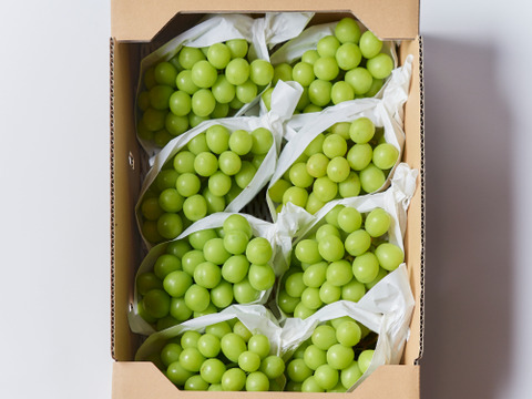 まほろばの里、高畠が誇る『シャインマスカット』　約２キロ箱（３～４房）