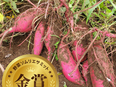 【野菜ソムリエサミット2025金賞受賞🍠甘さだけじゃなく旨さがある!】いもぽこのさつまいも『べにはるか』(80サイズ5㎏未満入るだけ)【サイズ無選別】栽培期間中：農薬・化学肥料不使用