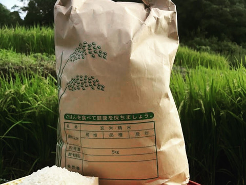 【令和５年産新米(白米)】愛媛県自家農園　農薬・化学肥料・除草剤不使用あきたまち5kg