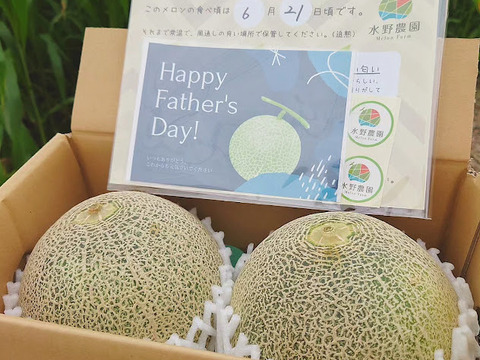 【父の日ギフト】甘さ濃厚『タカミレッド』1.3kg×2玉