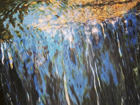 もちもち甘い【令和５年度新米】ゆうだい21　白米10kg