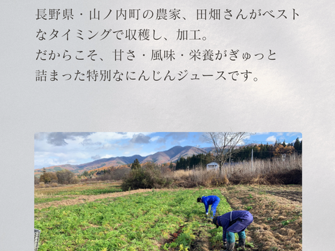 栽培期間中農薬不使用　自家栽培　長野産にんじんジュース　1000ml×6本