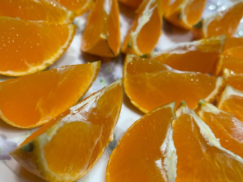 ゼリー食感！愛媛の乙姫！　まどんな　秀優品込み　1.5kg