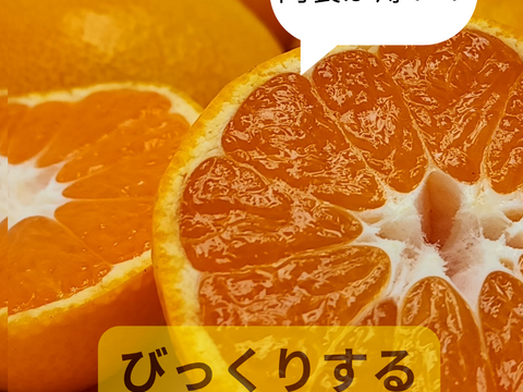 箱込約5㌔　ちっちゃいのも、でっかいのも、みんなうまい！