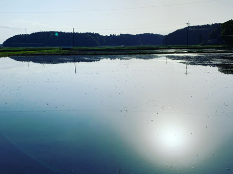 ✳︎新米✳︎令和7年度産★季節の野菜プレゼント付★【白米3キロ】クラフト袋入　　ふっくら・もちもち✴︎冷めても美味しい〜　【深田のお米】千葉県産コシヒカリ