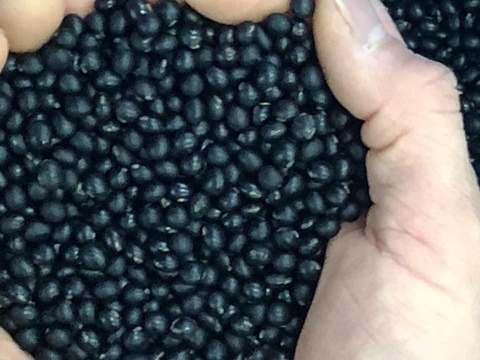 自然栽培黒千石大豆納豆10個