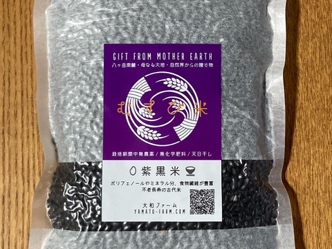 自然栽培紫黒米300g×2袋