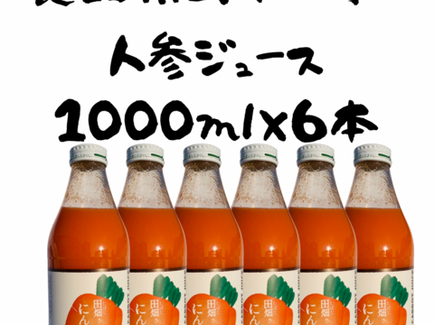 栽培期間中農薬不使用　自家栽培　長野産にんじんジュース　1000ml×6本
