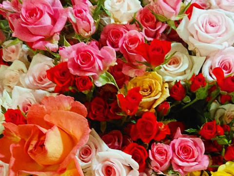 【冬ギフト】薔薇10本ブーケ■色も香りも一年に一番濃い季節の特別な薔薇！(食用可!!)