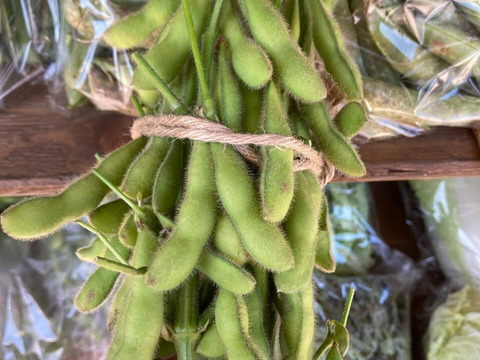 安心・安全な「夏」の旬のおまかせ野菜セット　７～８種類