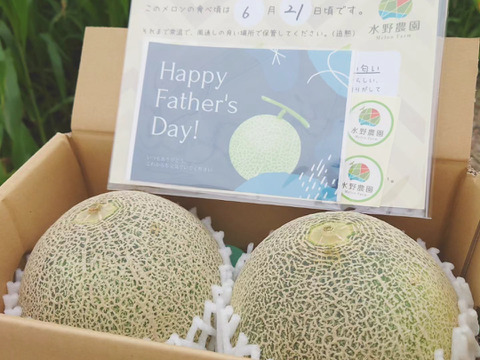 【父の日ギフト】渥美半島産『タカミレッド』1.3kg×2玉