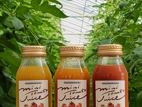 3色飲み比べ！お日様えくぼのミニトマトジュース180ml×赤2本黄1本オレンジ1本