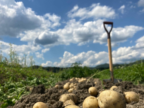 【京都府産】旬の定番夏野菜セット（10品）