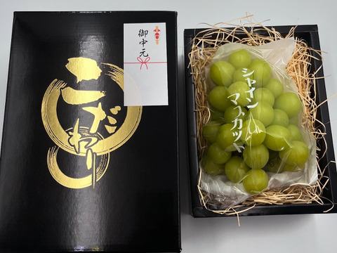 【夏ギフト】【お中元用】化粧箱のし付 特選シャインマスカット 唐津産