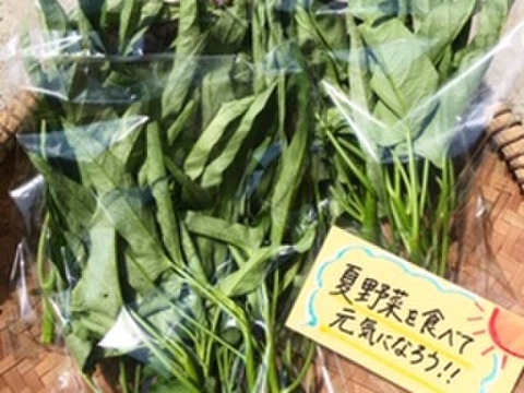 夏野菜 元気になろう 空芯菜2 夏バテ防止に 広島県産 食べチョク 農家 漁師の産直ネット通販 旬の食材を生産者直送