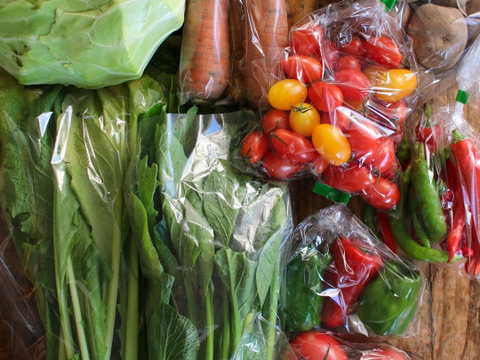 旬こそ命！旬のおすすめ野菜セット＊5品目以上～農薬/化学肥料・不使用