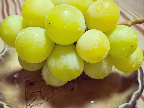 【秋の果物詰め合わせ】農薬不使用いちじく2パック　約600g　農薬不使用黄金シャインマスカット（種あり）2〜3房　約700g