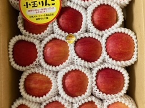 まるごとガブリっ！奥州ロマン☆小玉・食べきりサイズりんご【岩手江刺産】３㎏
