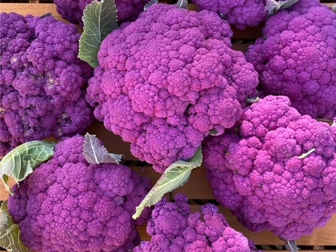 【常温便】レア野菜でキモチをUp！
『お試しS★カラダ喜ぶ初夏野菜セット5品目』