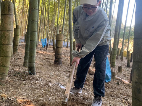〜朝掘タケノコ4㎏（3本〜5本）〜鮮度抜群、香り豊かで みずみずしくエグミが少ない！