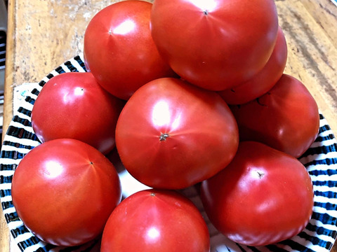 毎食トマト！バクバク食べちゃう栄ちゃんトマト　大きめ2キロ入り