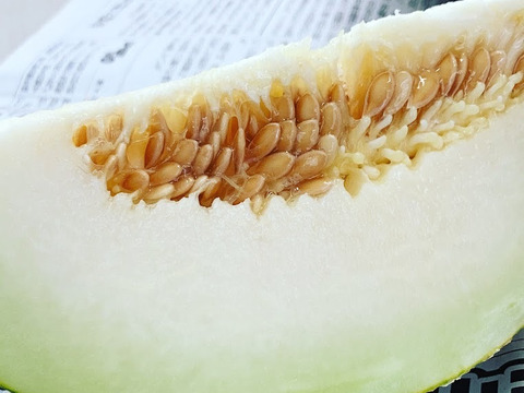 2種類の味わい！メロン レノン・ムーンライト 2玉化粧箱入り 1玉1.7kg以上