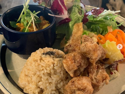 コウノトリ舞いおりるコシヒカリ　特別栽培米　六方銀米　玄米　10kg（5ｋｇ×2）