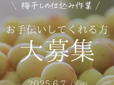 【電子食品流通研究所×廣川農園×mekuri Presents】農薬・化学肥料・除草剤不使用・無添加　特製梅干し約90g×2袋