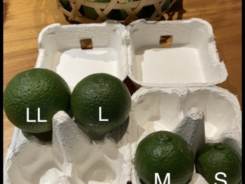 自然栽培かぼす３キロ【種あり】