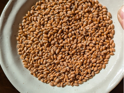 うどん　(乾麺)200g×4袋