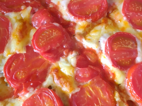 旨みと甘み♪香りと味を楽しむ贅沢なトマト🍅【華おとめ】１kg箱 + 朝もぎイボきゅうり🥒３本付き