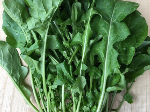🌾新米入り🌾【月・金曜発送便】ココロ踊る🌈おまかせ野菜セット【さいたま市産】