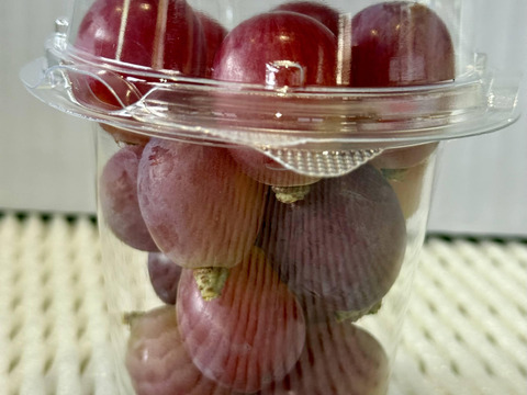 甲斐キング、サンシャインレッド、スカーレット、クイーンニーナ、マスカ・サーティーン、富士の輝、マイハート他　粒
◎カップサイズ２種類　大（約280g)×３個 ＋中（約180g）×４個　合計７個