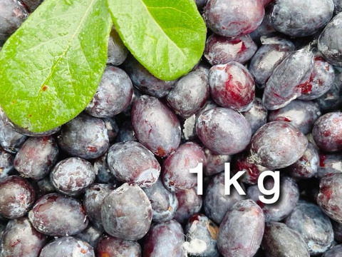 【ジャムづくりに】冷凍ハスカップ•1kg（品種ミックス） ※まとめ買い対応