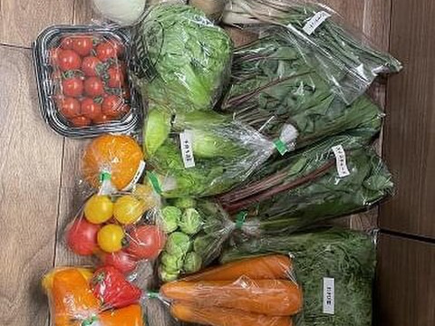 果物プラス🍊【新鮮野菜セット80】