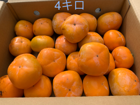 長野産　渋柿　約4キロ（箱の重さ込み）
