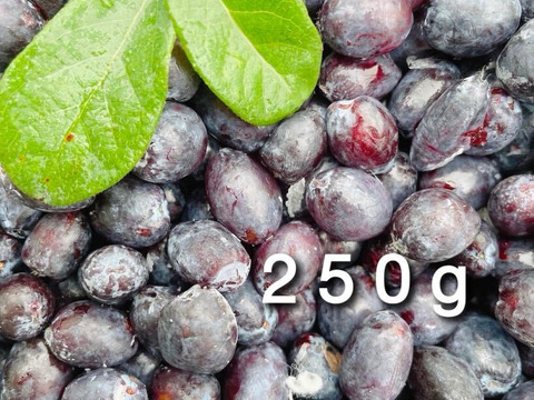 【ジャムづくりに】冷凍ハスカップ•250g（品種ミックス） ※まとめ買い対応