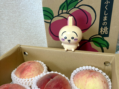 福島定番 あかつき 福島県伊達市産 2kg(6～7玉)