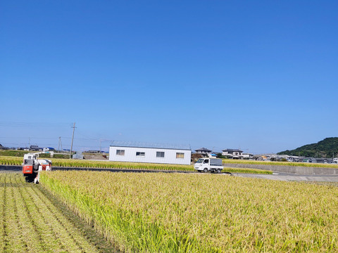 玄米、きぬ光、風袋込みの5キロ(炊く際の水量は、普段通りで)