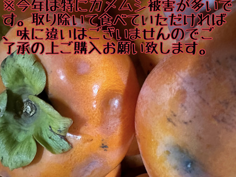 和歌山県産　富有柿（家庭用）SMサイズ18〜20個　※贈答用には向きません