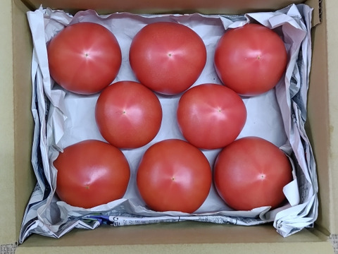 トマトさま専用 親バカトマト4kg箱 Sサイズ（28個入り）税込2,700円 | 親