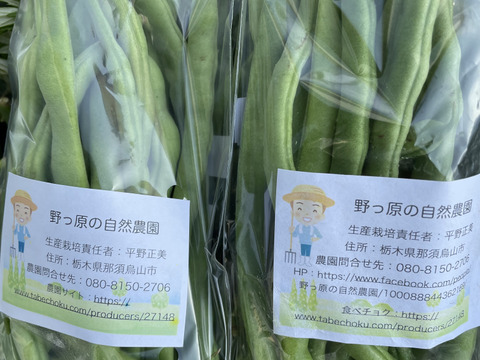 【秋のカボチャセット】農薬不使用で育てたどっしりかぼちゃ5個以上と採れたて季節の野菜盛りセット　 農薬不使用栽培で丁寧に育てました。