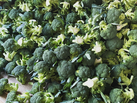 渥美半島産　カットブロッコリー