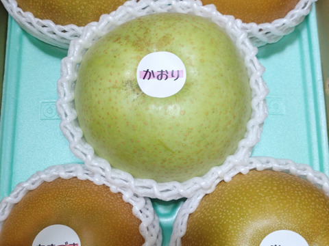 旬の梨3kg【二品種以上食べ比べBOX】【規格外】