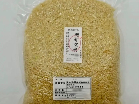 熊本県産 令和7年新米100% 発芽前玄米 12kg ヒノヒカリ れんげ米