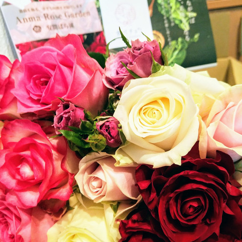 佐藤薔薇４７本 佐藤様専用薔薇47本 （訳あり》山形県産さくらんぼ佐藤錦1kg