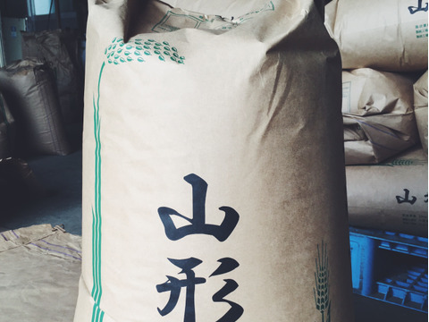【H30収穫】【玄米】つや姫 10kg 山形県飯豊町産 特別栽培米