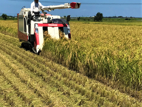 【令和4年産】もっちり甘い！三重県松阪産コシヒカリ『タモじぃー米』【玄米30kg】